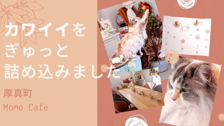 エゾリスと猫に会いたくて 北海道厚真町 Momo Cafe
