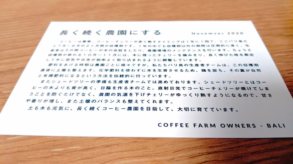 11月のコーヒー農園の様子