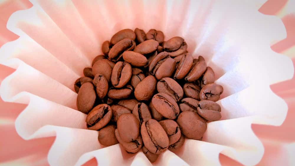エスメラルダ農園ゲイシャのコーヒー豆