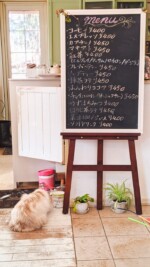 Momo Cafeメニュー看板